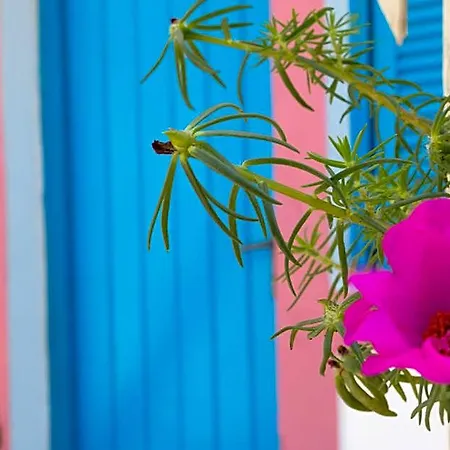 Hotel Miltiadis Parikia (Paros)